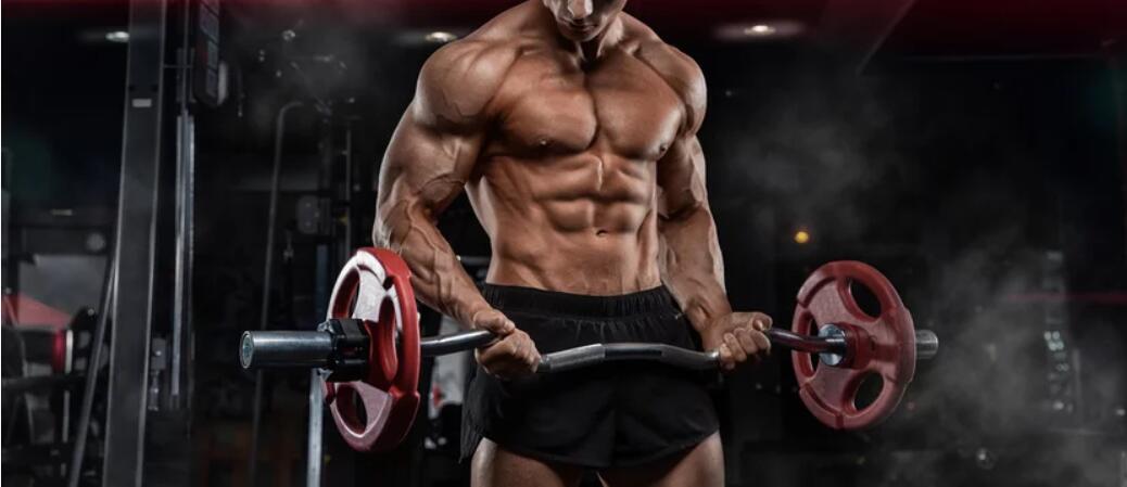 How does Triiodothyronine T3 prevent muscle loss during the Cutting?