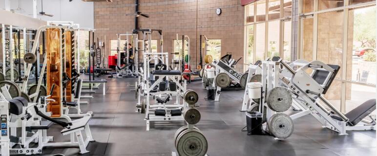 The relationship between DHEA and testosterone