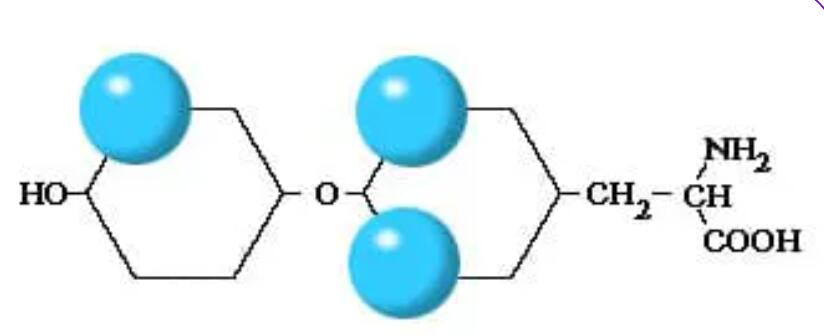 When should I use triiodothyronine (T3)?